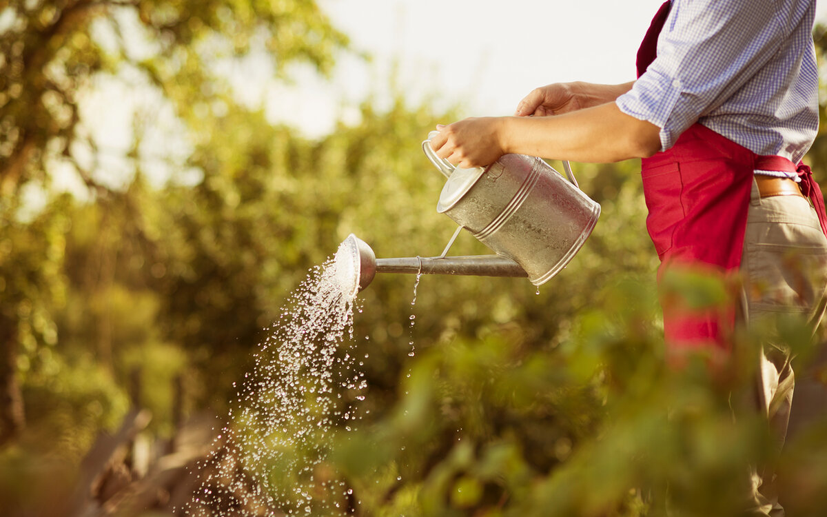 Не мучайтесь и переходите на автоматический полив!