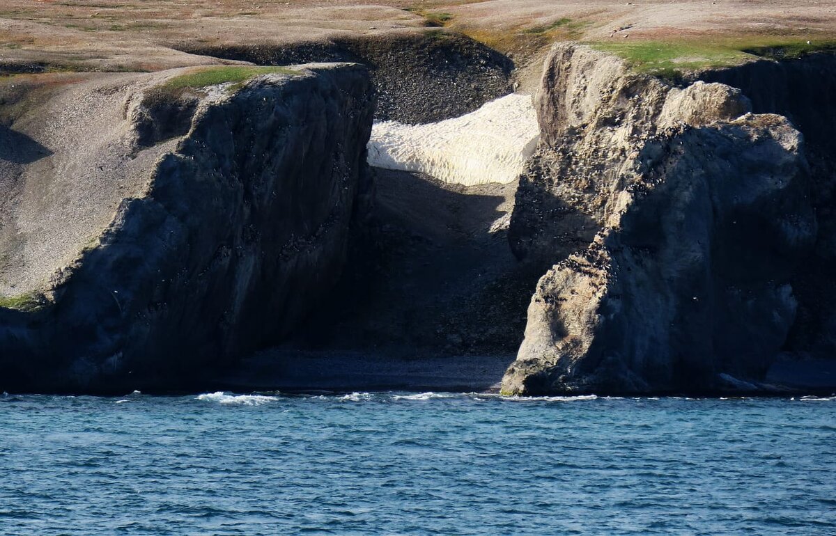 Новая Земля и обитатели на ней. 