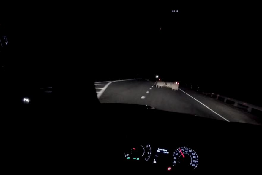 На трассе света мало, плохо видно фуры (учитывая, что снимок сделан на регистратор, в реальности все намного печальнее)