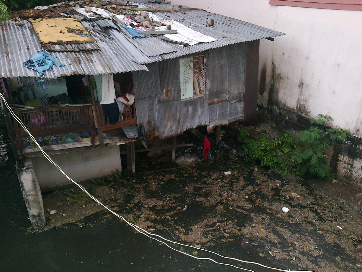 фото из архива автора