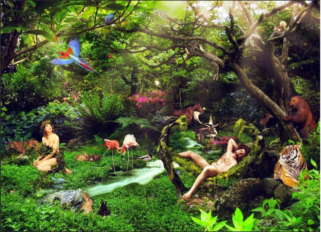 из яндекс картинок