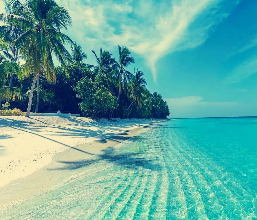 Мое ожидание