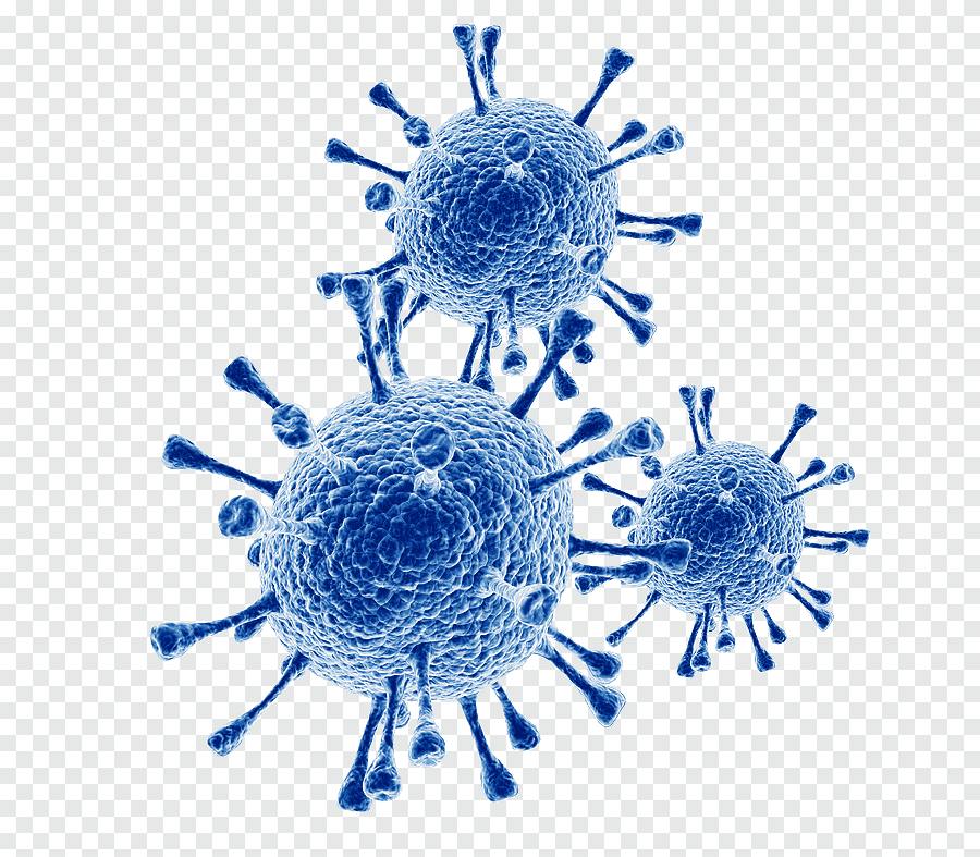 Из яндекса)