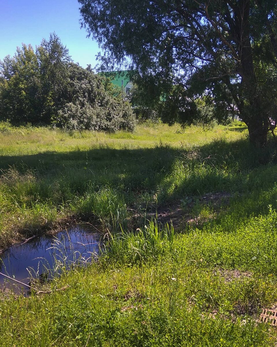 фото сделаны мной