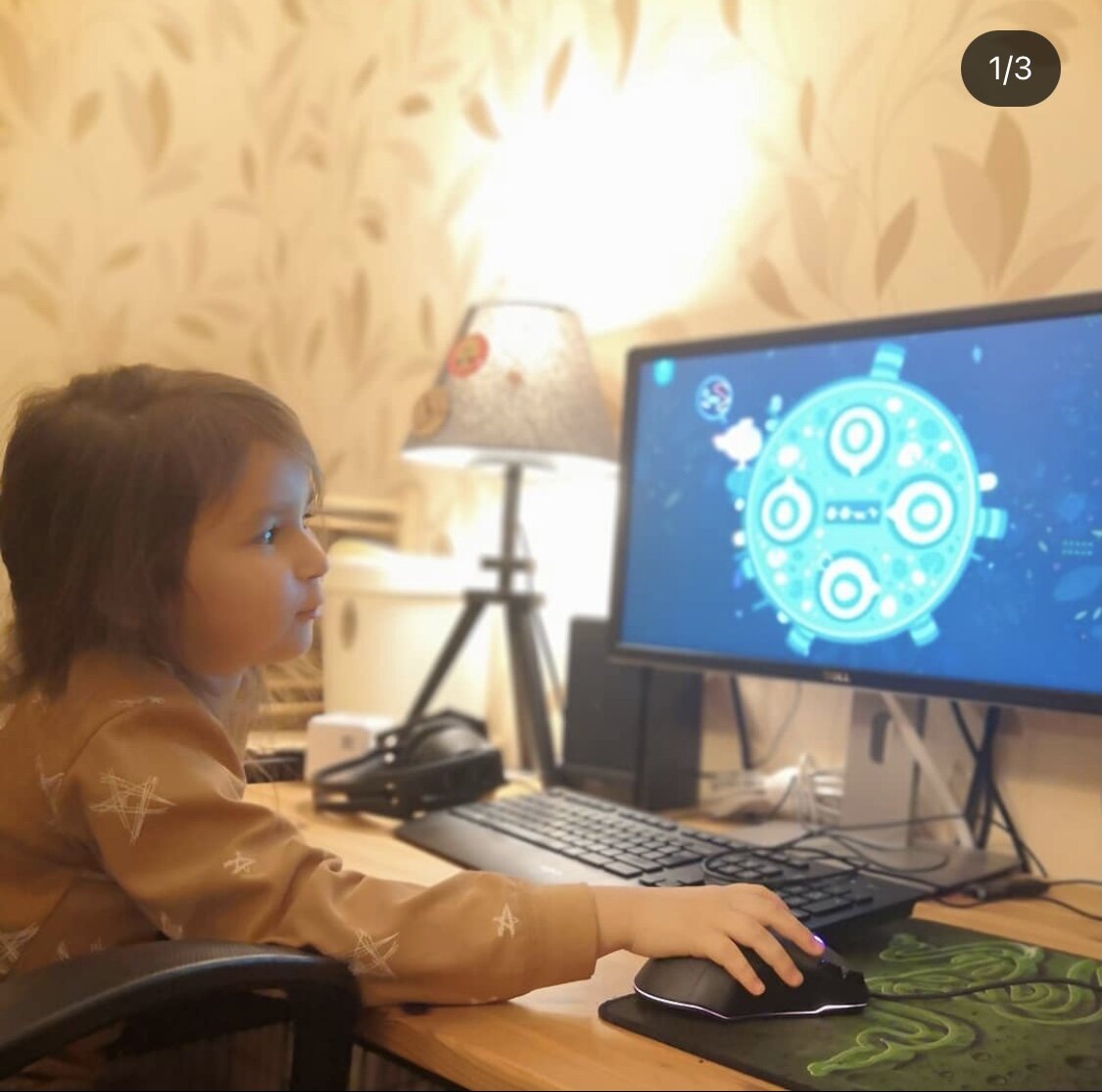 Софья рассуждает о GNOG