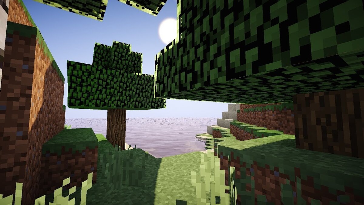 Лес. Из открытого источника.