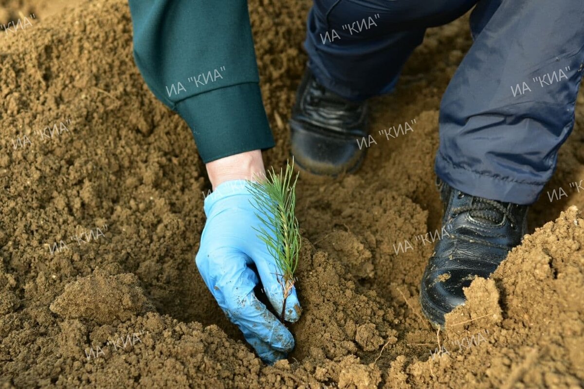 Фото: Михаил Патлис 