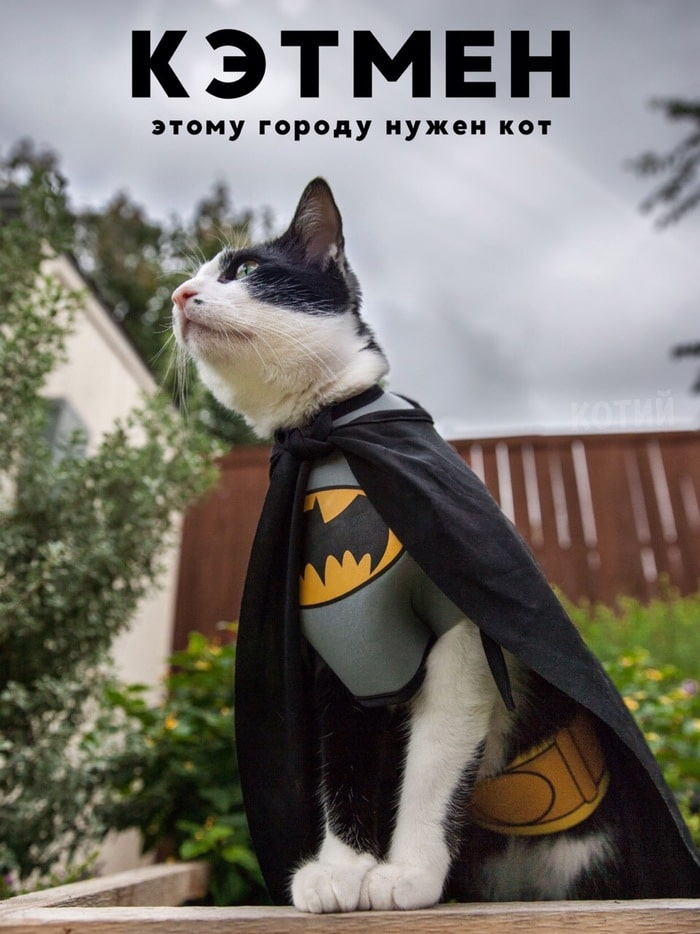 Кэтмен на страже закона