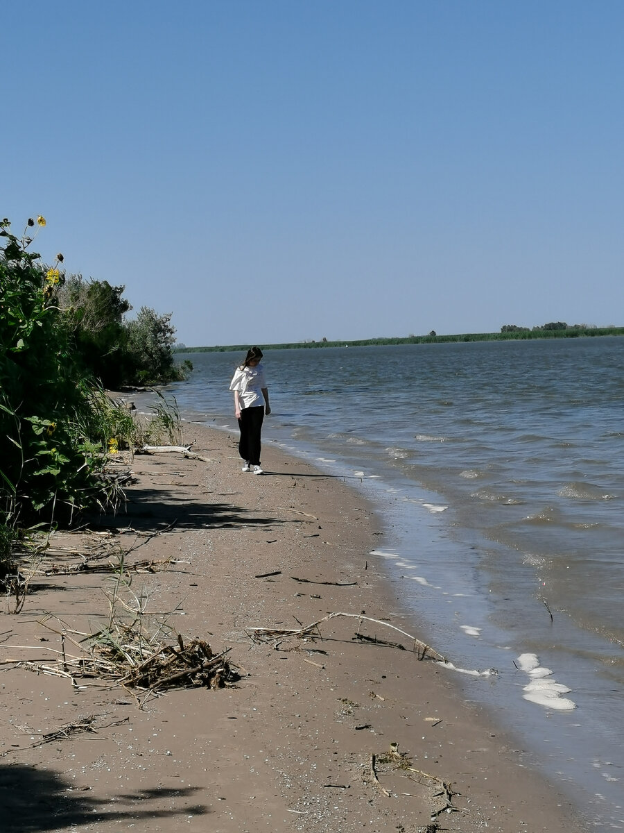 Вода в реке астрахань. Астрахань река Бахтемир. Бахтемир пляж. Река Бахтемир Астрахань Астраханская область. Бахтемир Астраханская область пляж.