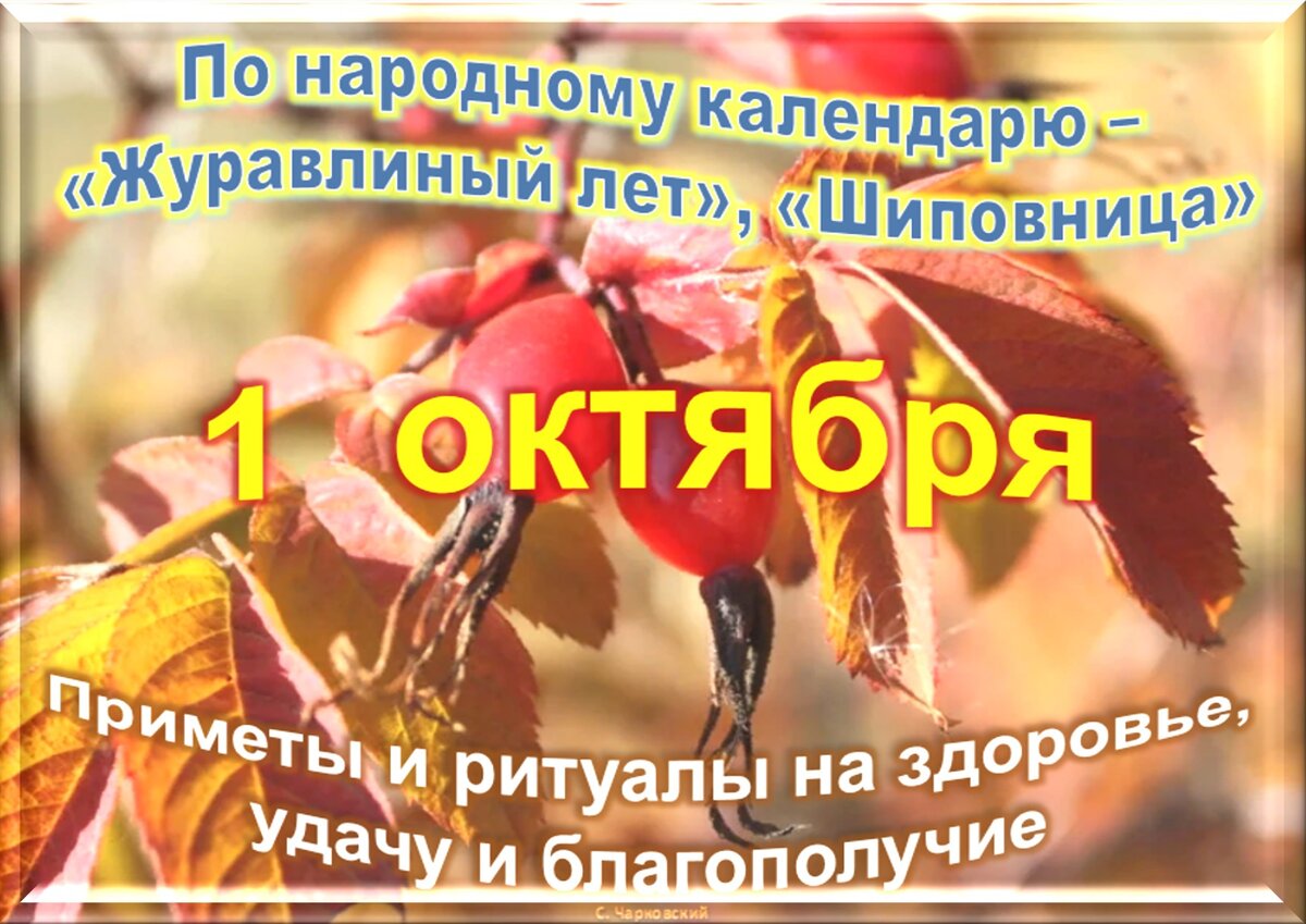 1 октября - Традиции, приметы, обычаи и ритуалы дня. Все праздники дня во  всех календарях | Сергей Чарковский Все праздники | Дзен