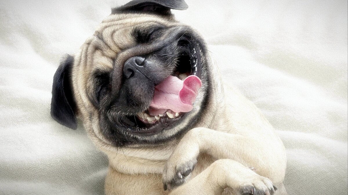 Источник: Яндекс.Картинки