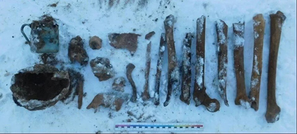     В Минске в двух районах города в один день нашли человеческие кости. Фото: управление ГКСЭ по г. Минску.