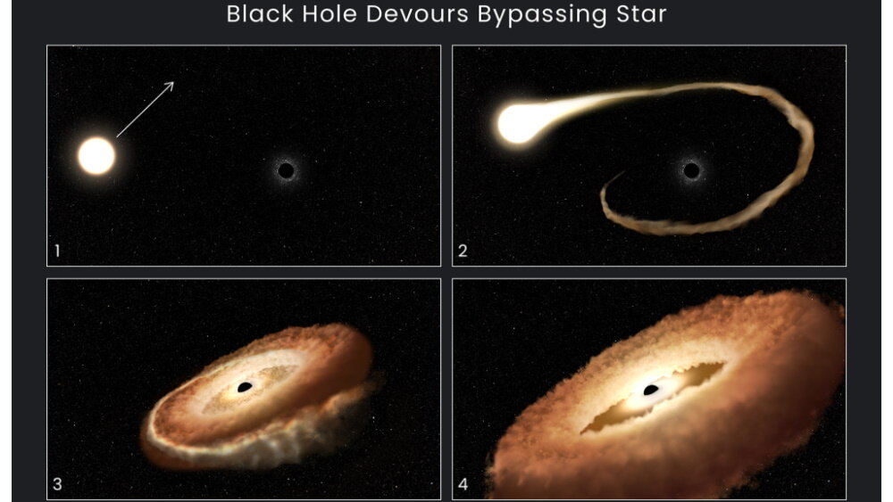   Фото: NASA, ESA, Leah Hustak (STScI), 1. Обычная звезда проходит вблизи сверхмассивной черной дыры в центре галактики. 2. Внешние газы звезды втягиваются в гравитационное поле черной дыры. 3. Звезда разрывается на части. 4. Звездные остатки образуют кольцо в форме пончика вокруг черной дыры