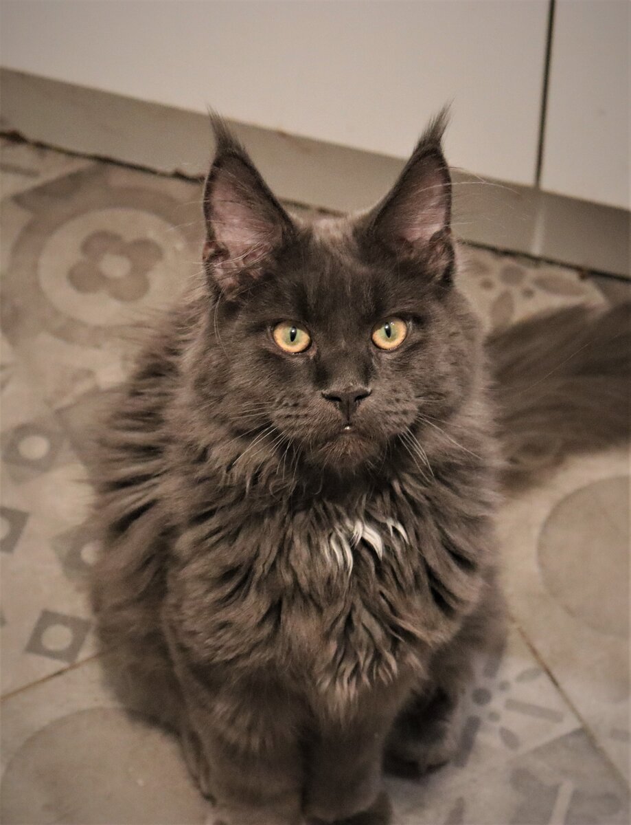 Фото из личного архива.