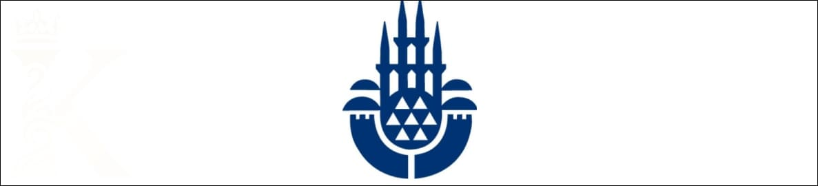 Плюсы и минусы города Стамбул