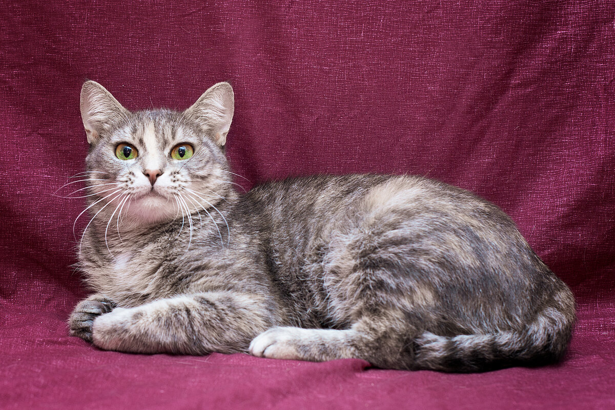 Чуть насторожена. Первая фотосессия