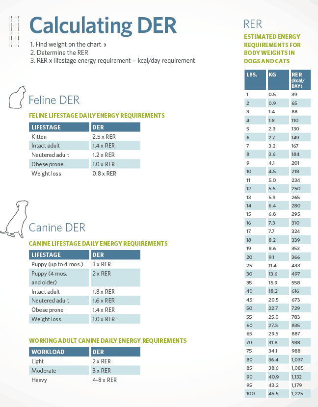 Табличка для быстрой примерной оценки необходимой энергии для состояния покоя. Для расчёта потребностей энергии с учётом активности, нужно RER умножить на соответствующий коэффициент. Оценка будет примерная. Индивидуально потребности могут отличаться. 