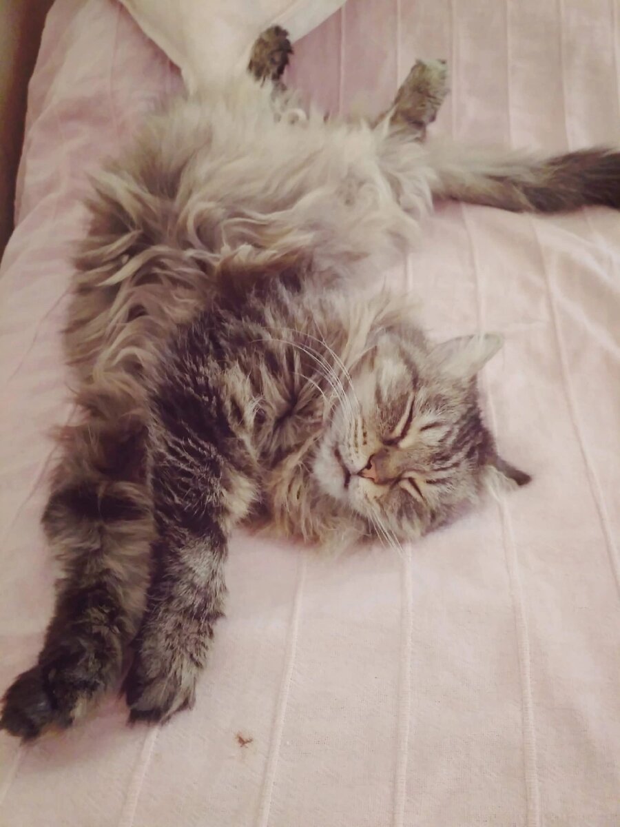 Просто Анфиса 