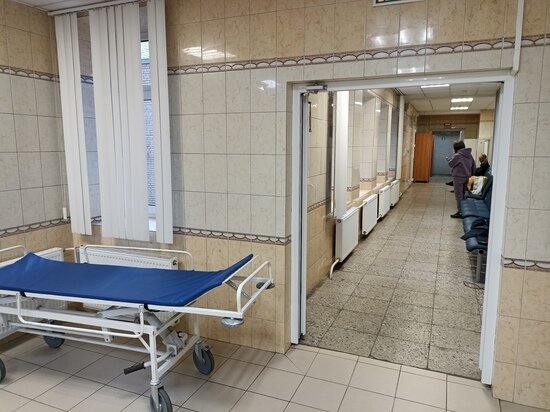     актера увезли в одну из московских больниц. Фото: МК в Питере