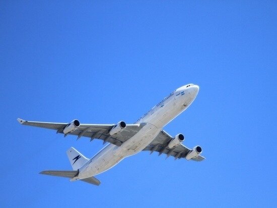     фото: pxhere.com