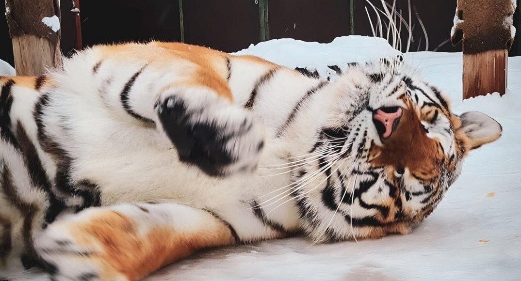    Фото: Росприроднадзор