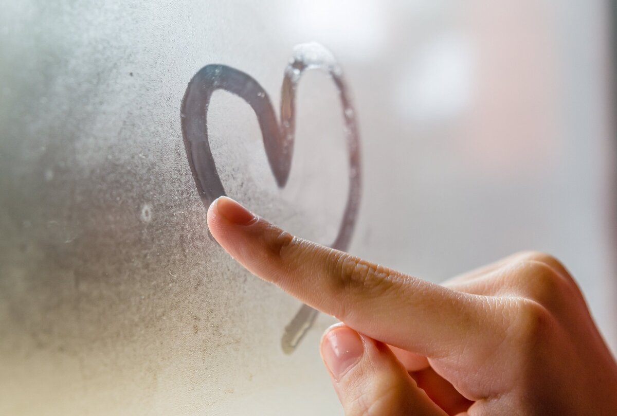 Источник фото: Canva 