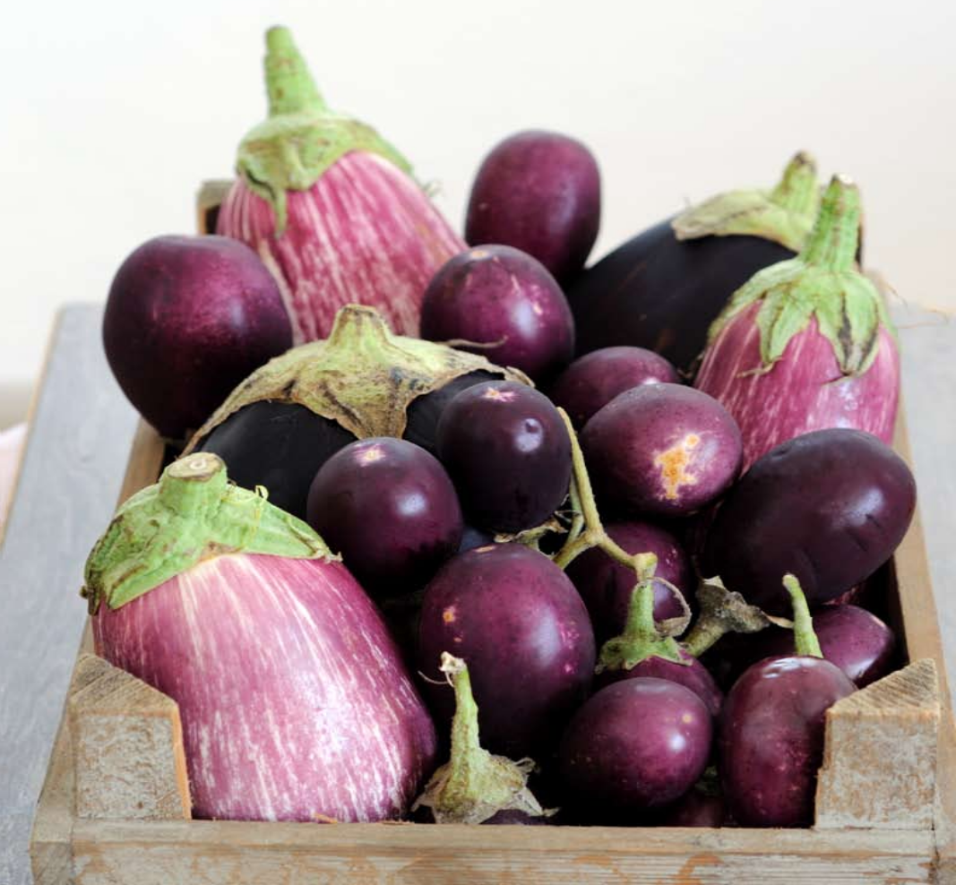 Так называемый голландский баклажан, он светло-фиолетового цвета с белыми полосками, меньше обычного баклажана по размеру и по весу. Считается, что во время жарки он впитывает не так много масла, как  обычные баклажаны, совсем не горчит и даже имеет сладковатый вкус. Он легок и удобен в приготовлении. Его можно жарить, запекать и  он прекрасно подходит по форме и размеру для фарширования