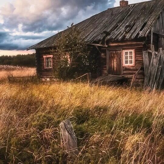 Яндекс.Картинки.