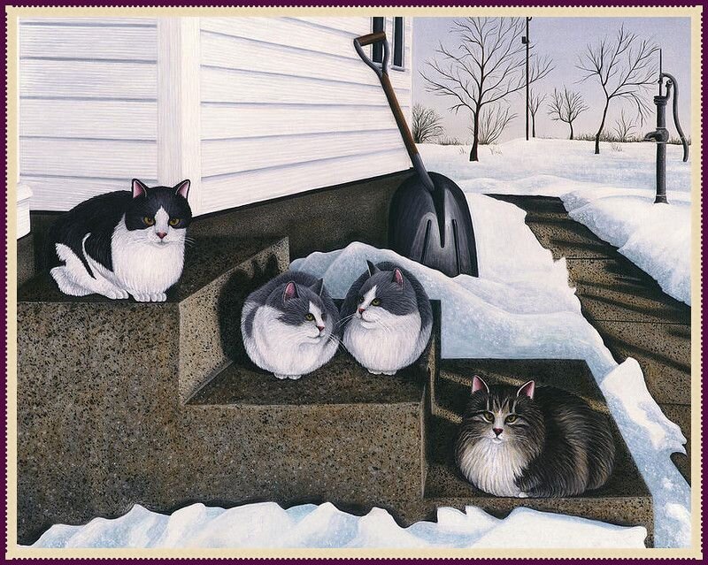 Carol Wilson, США. Кстати угадайте, которая из этих кошек, родившихся от одной кошки-мамы, и стала Муркой, членом нашего Экипажа. 