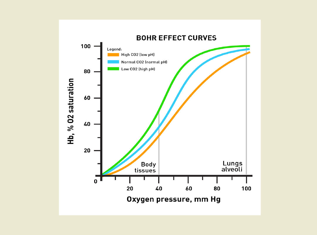 References: Hanson, D. Dental Tribune U.S. Edition, Vol. 9, No. 8, August 2014