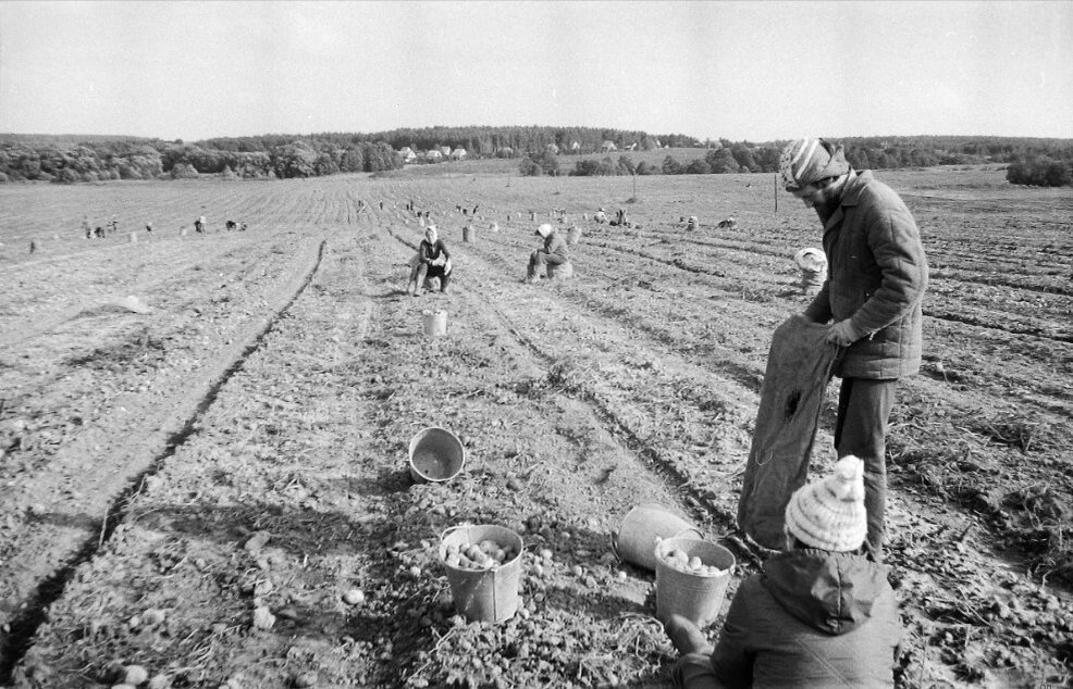  Посадка растений и сбор урожая знакомы каждому, кто хоть немного знаком с деревней. Труд тяжелый и не всегда оправданный, неумолимо сопровождает нас и сегодня.-5