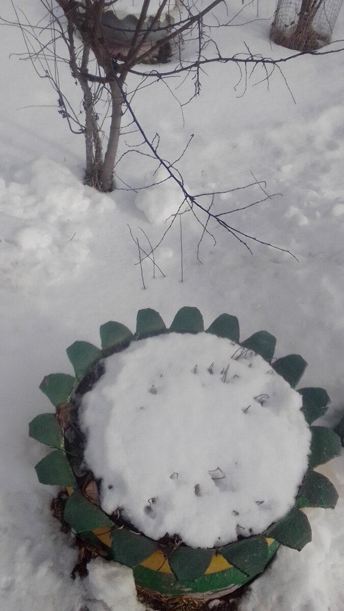 фото сила - в знаниях