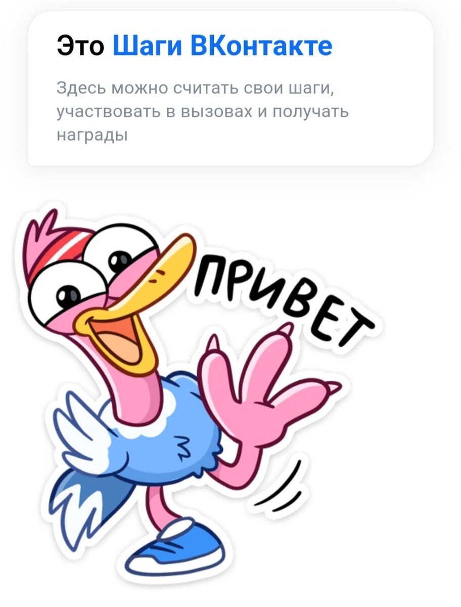 скрин из приложения ВКонтакте