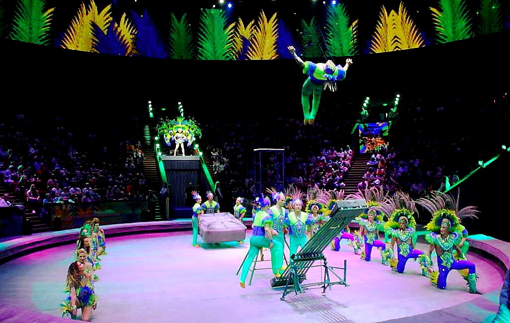 цирк. большой московский цирк новогоднее представление. цирк в краснодаре новогодний 2023. цирк краснодар новогоднее представление. новогоднее цирковое представление.