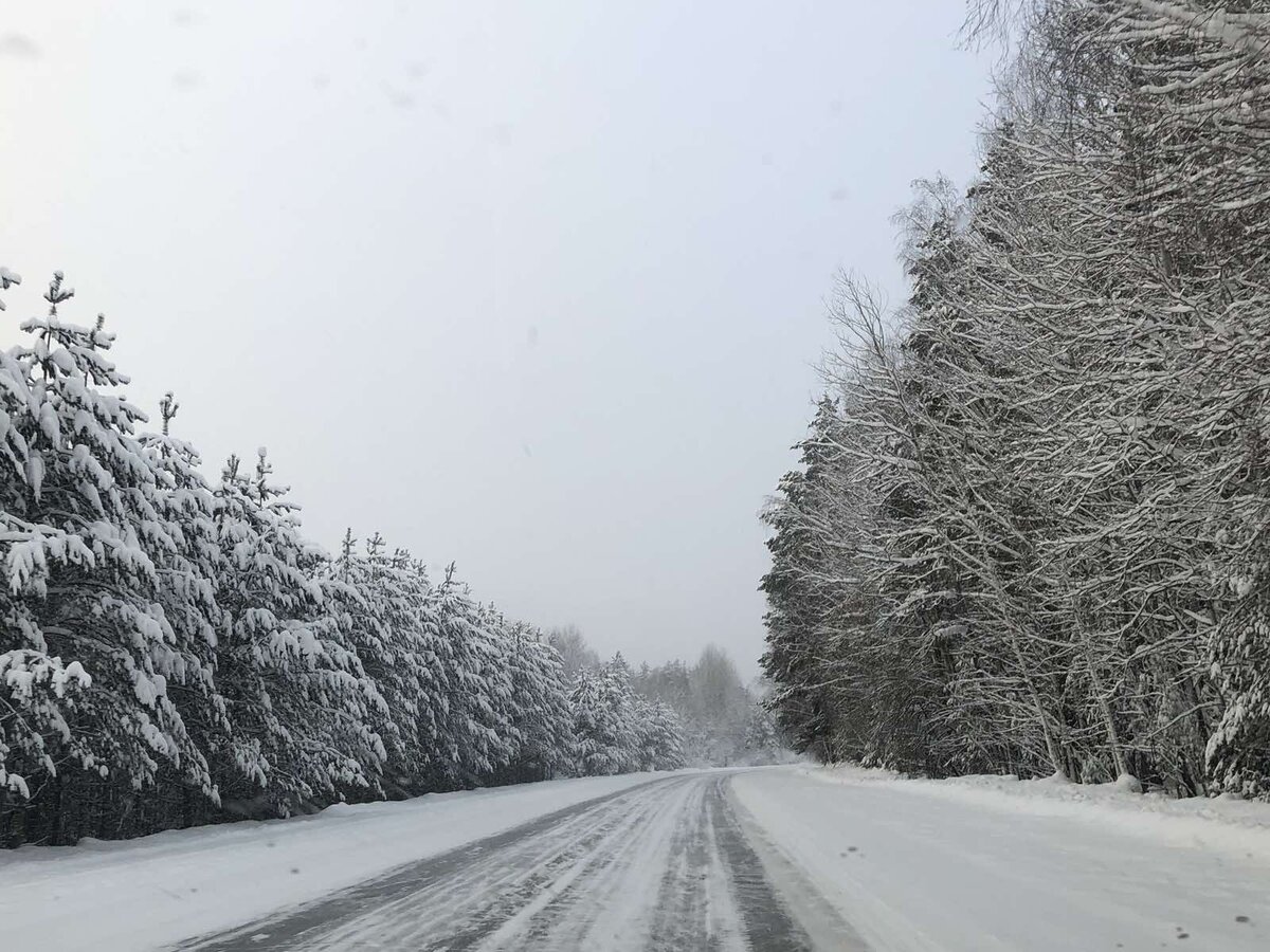 Фото добавлено из семейного альбома 