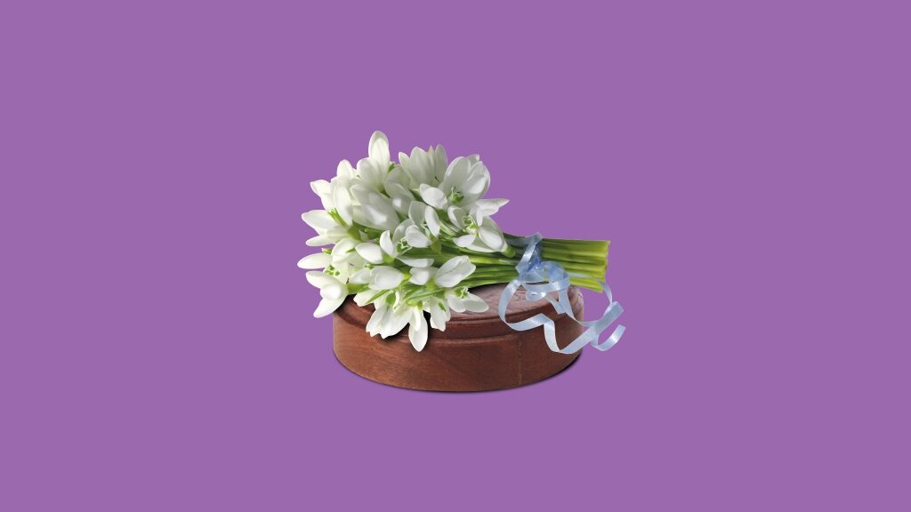 Иллюстрация: Вера Ревина/Клерк.ру