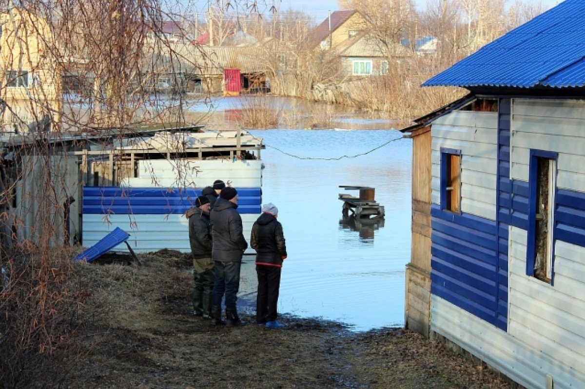    Свод правил поведения на случай ЧС сформировали в Алтайском крае