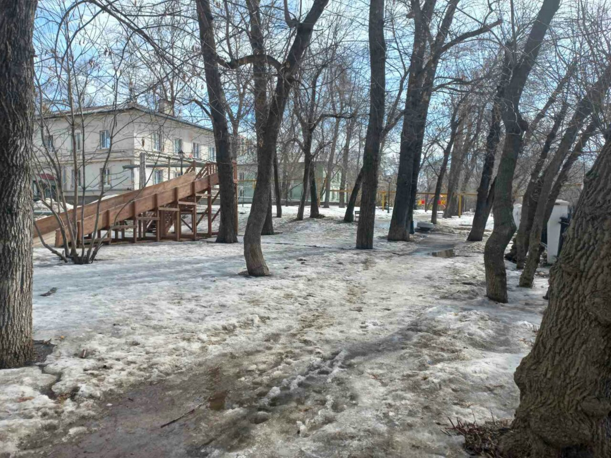 Фото автора.