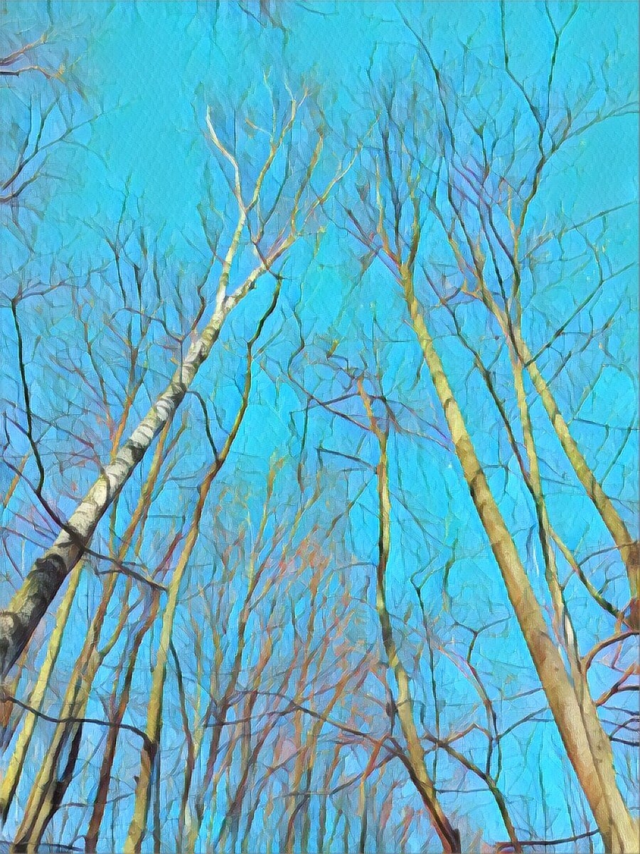 ФОТОКОЛЛАЖ - СОБСТВЕННОСТЬ АВТОРА КАНАЛА. 