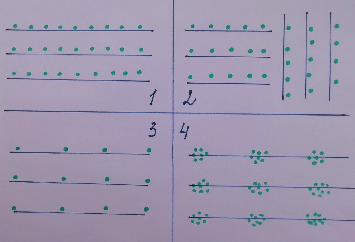 1. Рядковый посев 2. Перекрёстный 3. Пунктирный 4. Пучковой или букетный... фото автора 