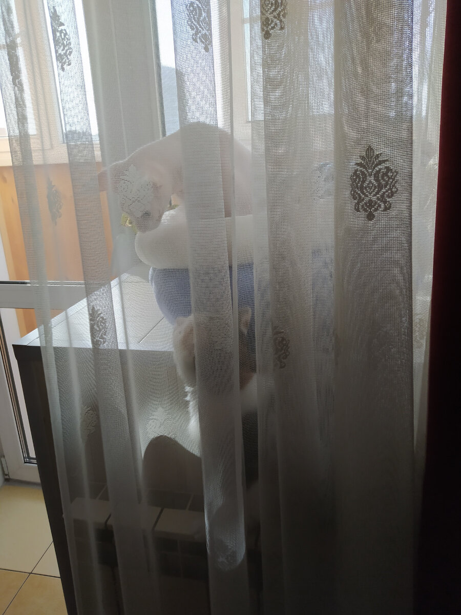 Вы, мадам, тут  по делу или как? А прошение заранее подавали?