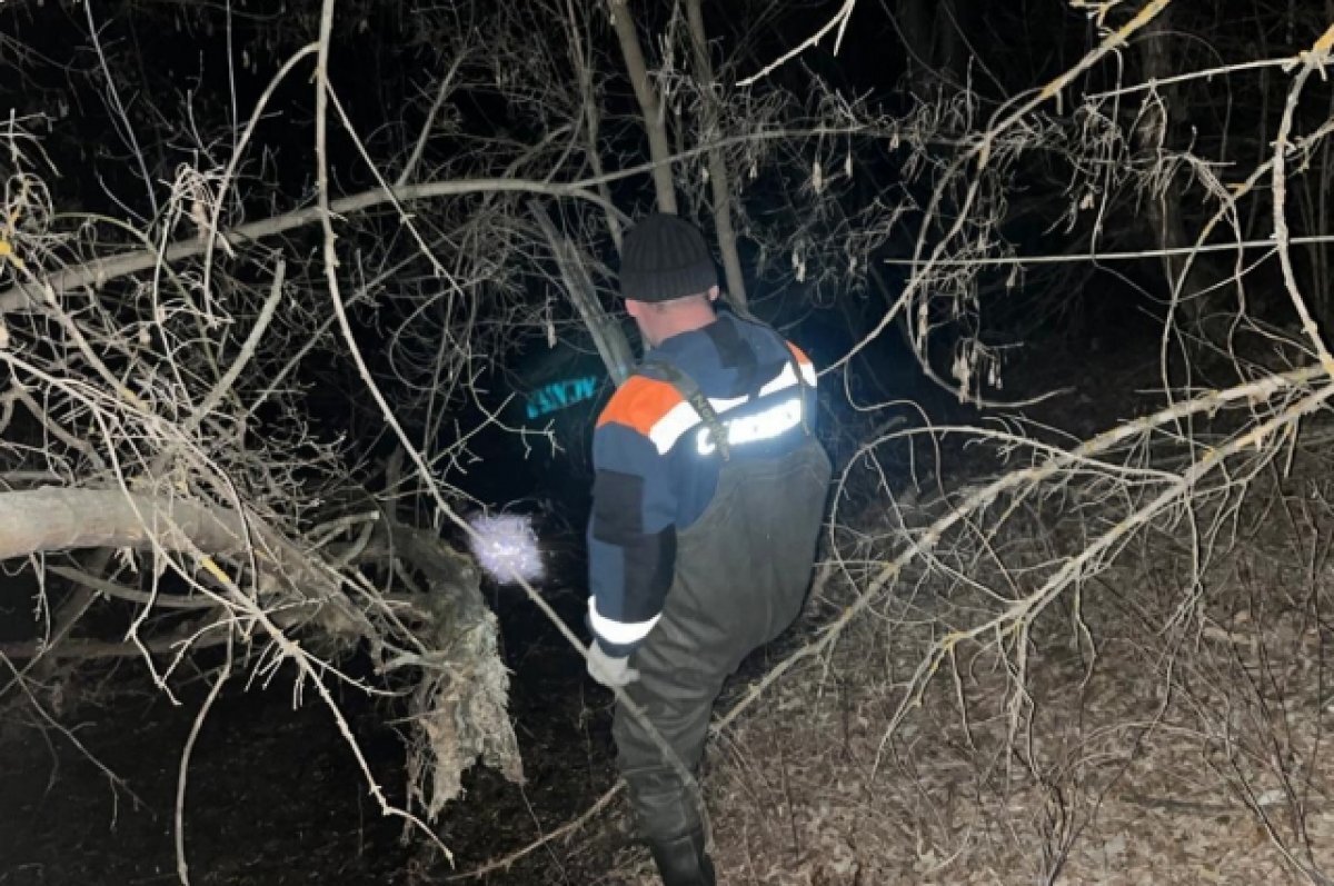    Под Оренбургом спасли заблудившегося в лесу