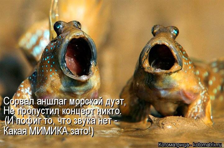 просто картинка из интернета