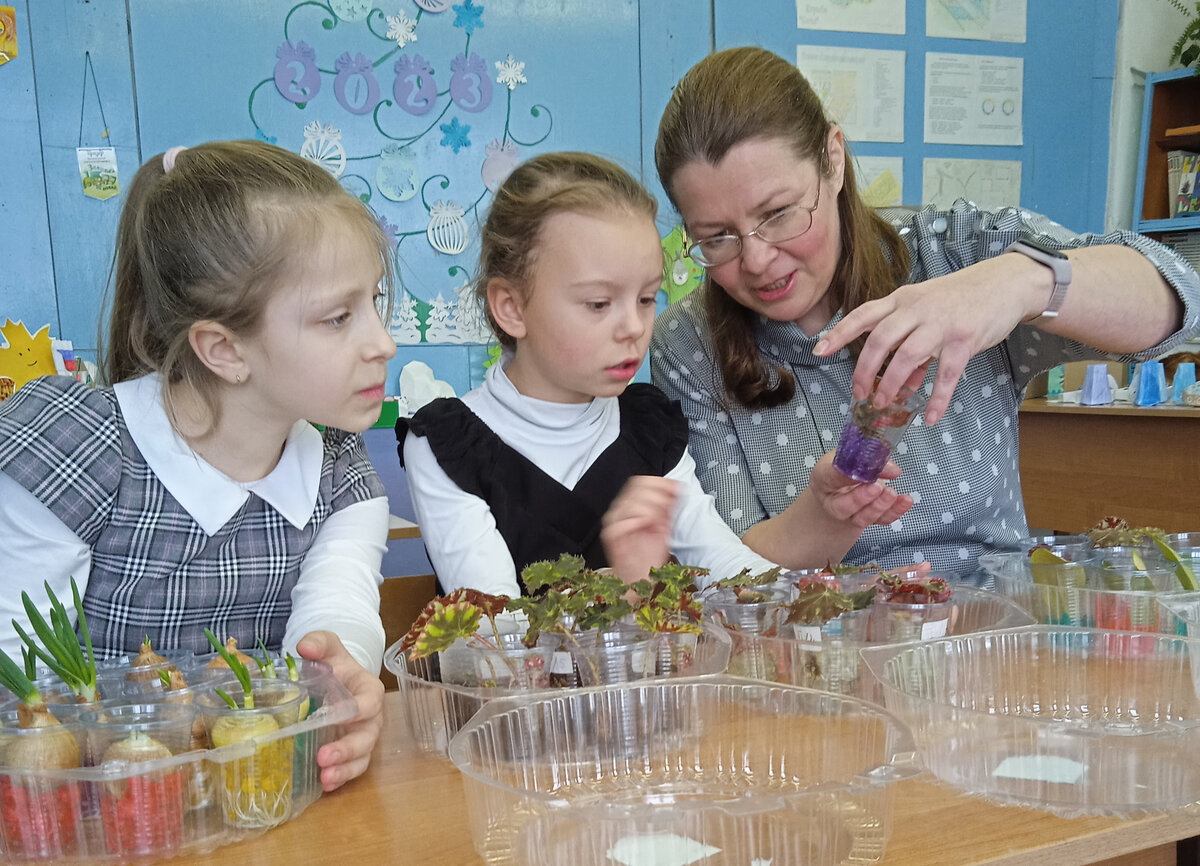 Педагог Ольга Станиславовна Уткина с ученицами 4 класса Аней Горбуновой (слева) и Светой Соколовой наблюдают, в каком из гидрогелей лучше отрастают листочки бегоний