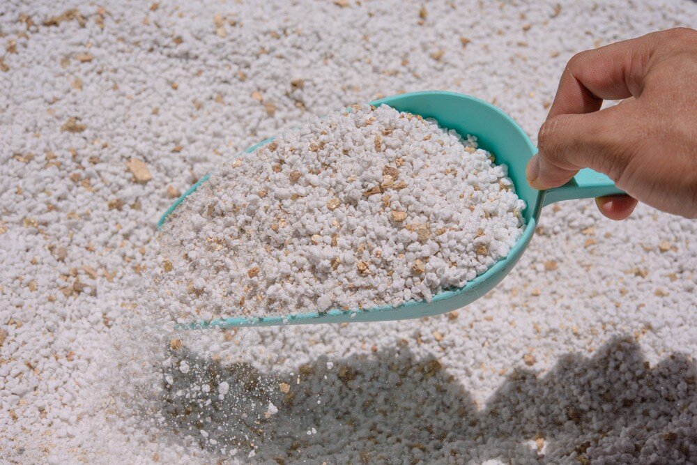    ShutterStock/Fotodom.ru