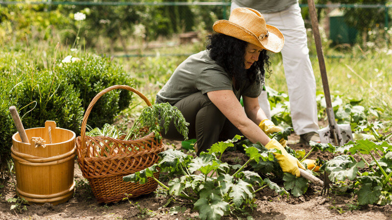     Работа на даче. freepik.com/Freepik