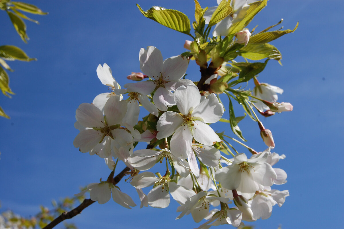 Фото LANDSCAPE ARCHITECTURE BLOG