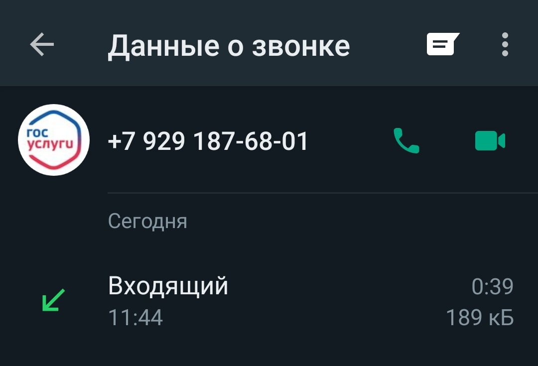 Звонок с госуслуг по Ватсапп | Ирина Кузнецова | Дзен