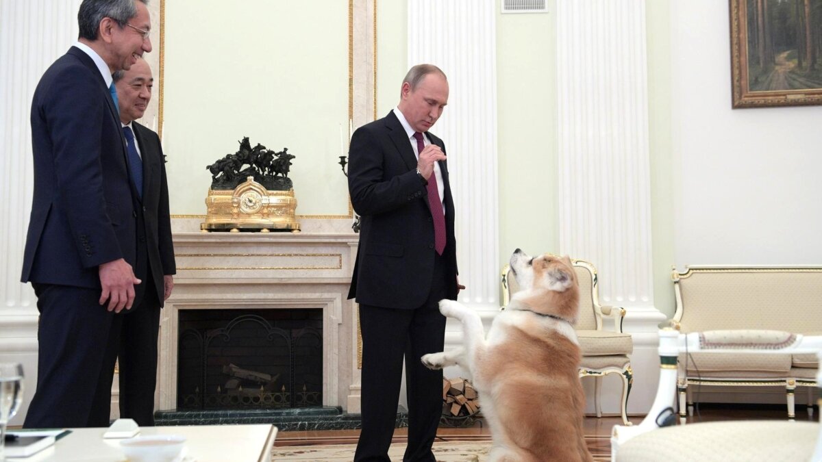 kremlin.ru📷
