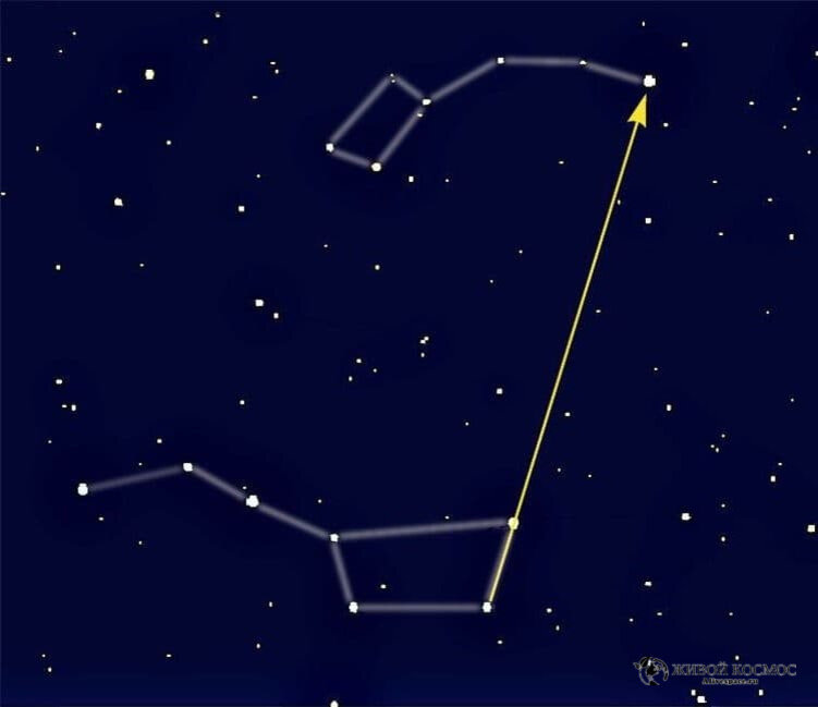 большая и малая медведица на небе с полярной звездой. самая большая звезда созвездия малая медведица. полярная звезда желтая. полярная звезда презентация. звёзды большая медведица полярная звезда.